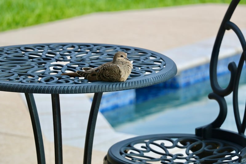 Patio Furniture